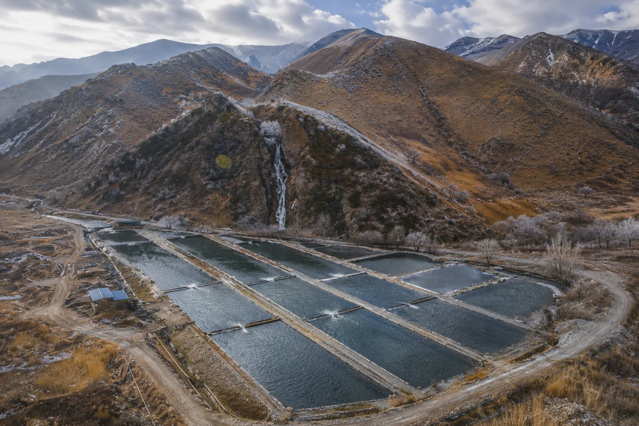 Форелевое хозяйство с прудами